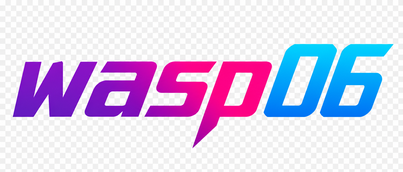 wasp06
